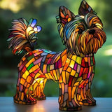Terrier Yorkshire Strahlend